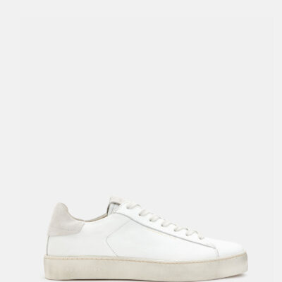 Shana Leather Trainers